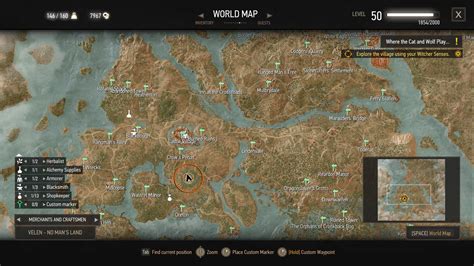 witcher 3 cat witcher kill or spare|Where the Cat and Wolf Play .